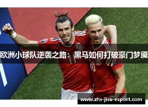 欧洲小球队逆袭之路：黑马如何打破豪门梦魇