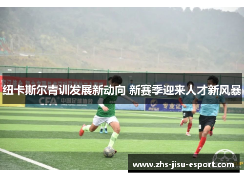 纽卡斯尔青训发展新动向 新赛季迎来人才新风暴